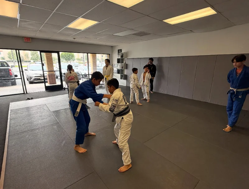 Close view of a jiu-jitsu grip and technique detail being taught